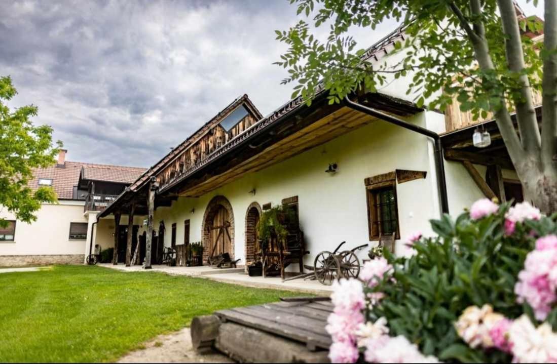 Ranc Jures Apartment Ljutomer ภายนอก รูปภาพ