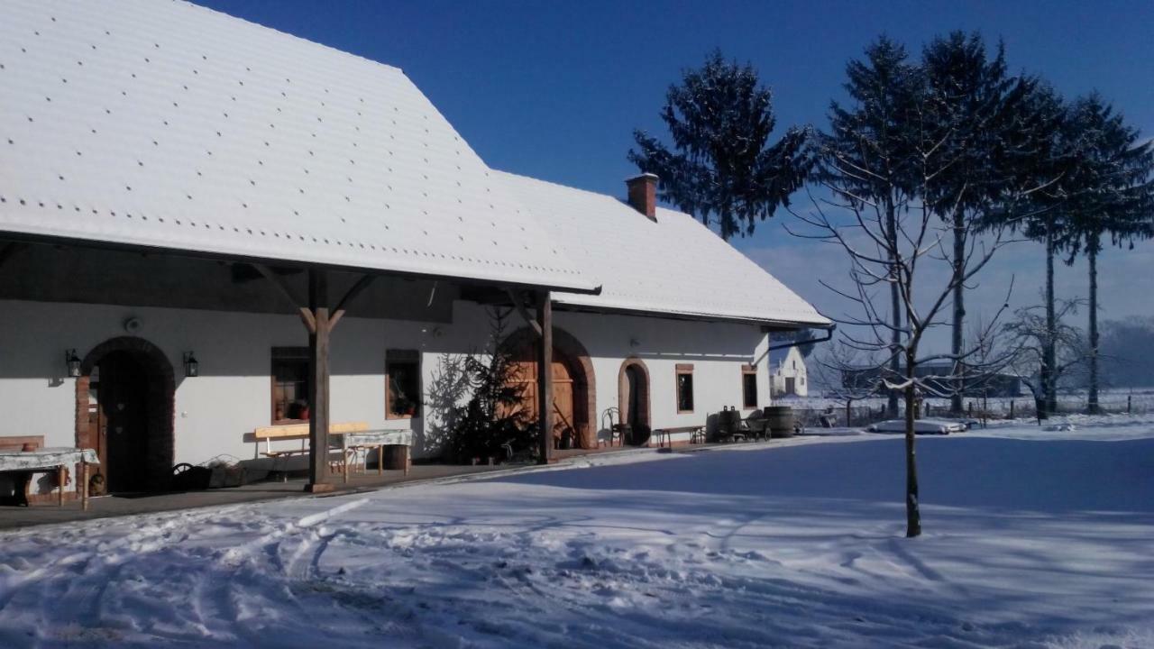 Ranc Jures Apartment Ljutomer ภายนอก รูปภาพ