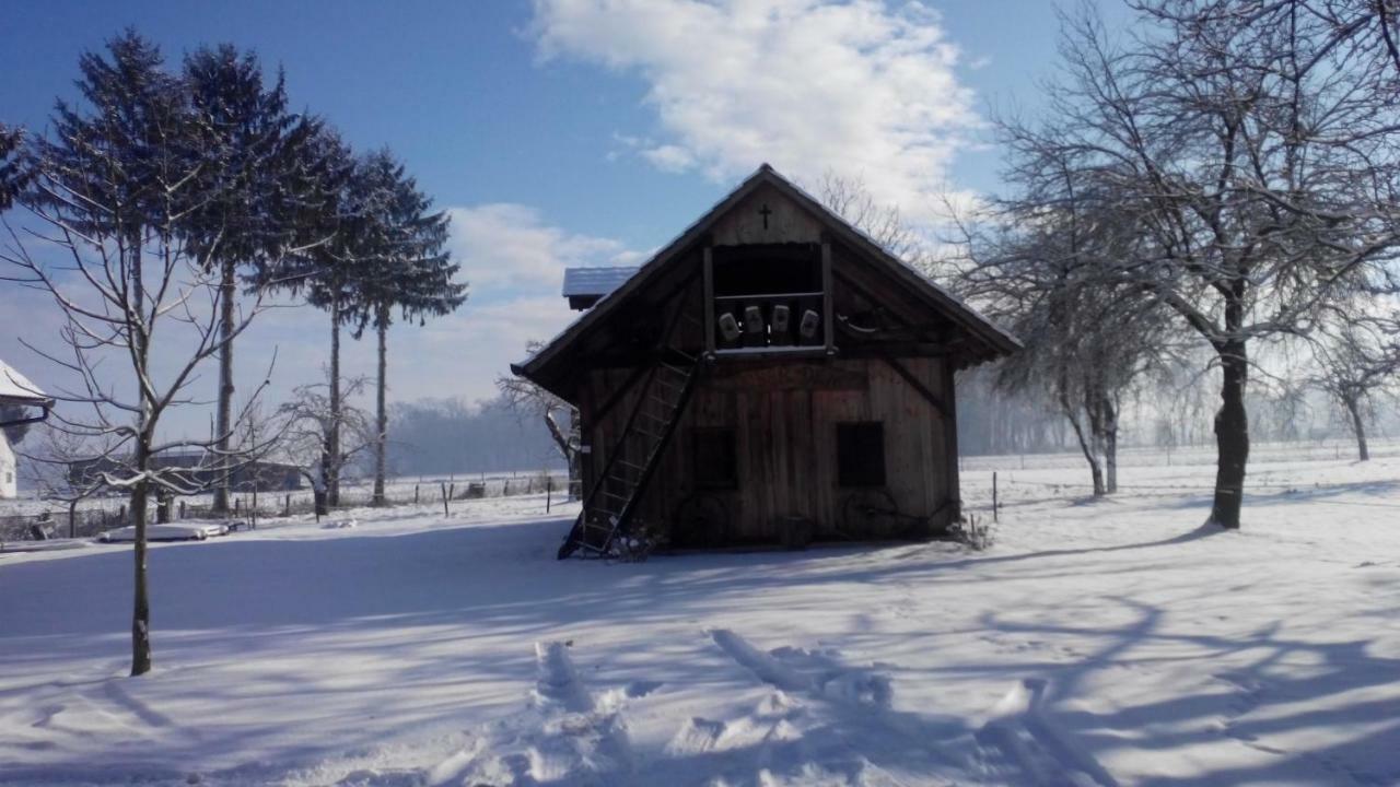 Ranc Jures Apartment Ljutomer ภายนอก รูปภาพ